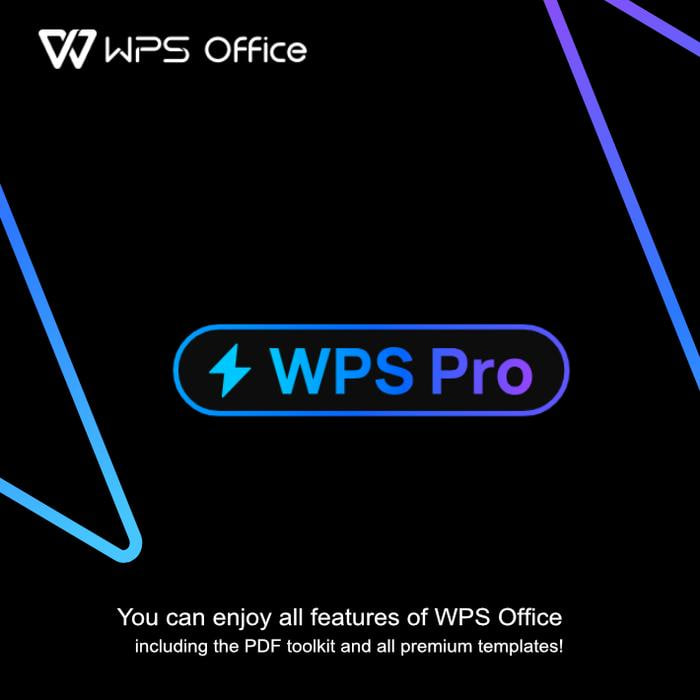 WPS Office表格：条件格式化与数据验证功能截图